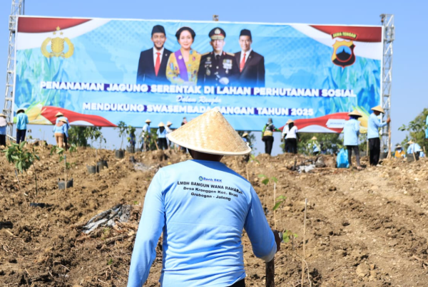 Polri Telah Menggelar Panen Jagung di 36 Wilayah