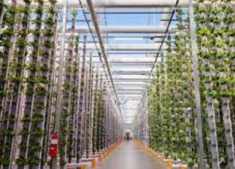 Peningkatan Produksi Pangan Melalui Pertanian Vertikal 2026